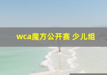 wca魔方公开赛 少儿组